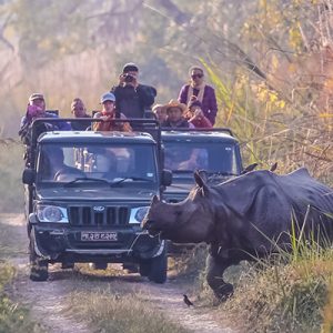 5 Nights 6 Days Package chitwan