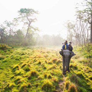 Chitwan Elephant  Safari inside Community Forest