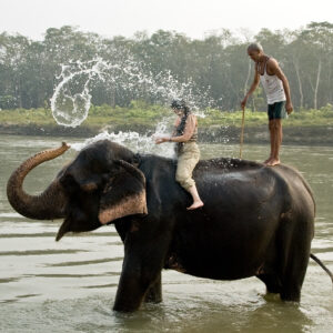 Chitwan Elephant Bathing