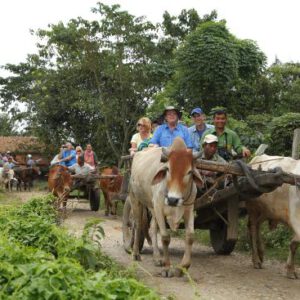 Tharu Village Tour